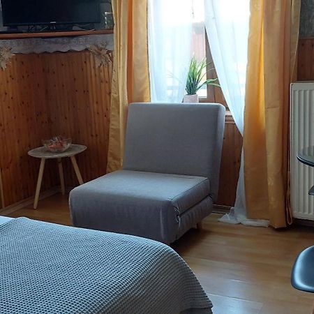 Апартаменты Διαμερισμα Χωρητικοτητασ Μεχρι 4 Ατομων Κεντρικα! Мецовон Экстерьер фото